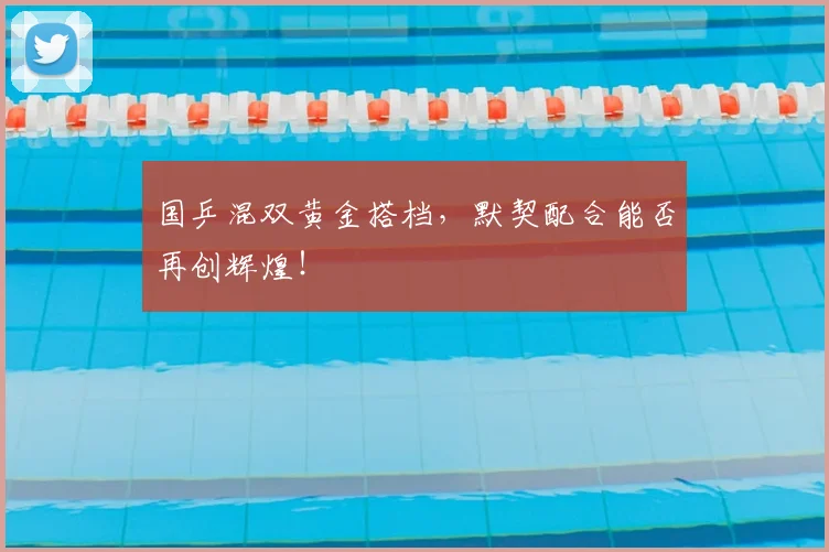 国乒混双黄金搭档，默契配合能否再创辉煌！