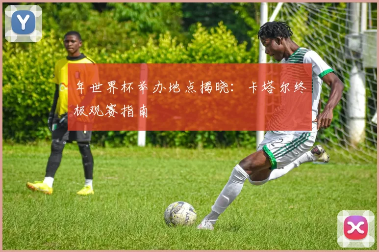 年世界杯举办地点揭晓：卡塔尔终极观赛指南