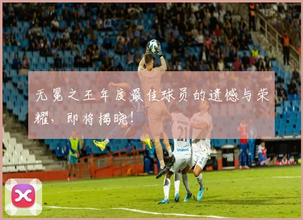 无冕之王年度最佳球员的遗憾与荣耀，即将揭晓！