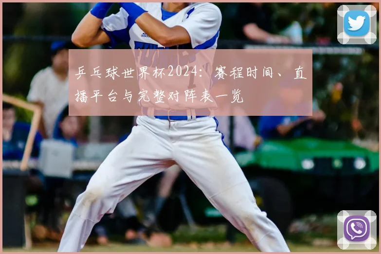 乒乓球世界杯2024：赛程时间、直播平台与完整对阵表一览
